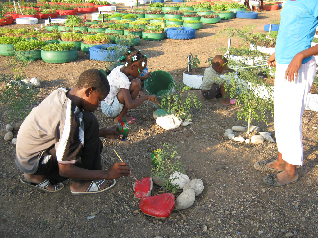 Experimental Gardens and Tree Nursery