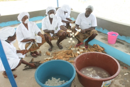 Peeling cassava manually