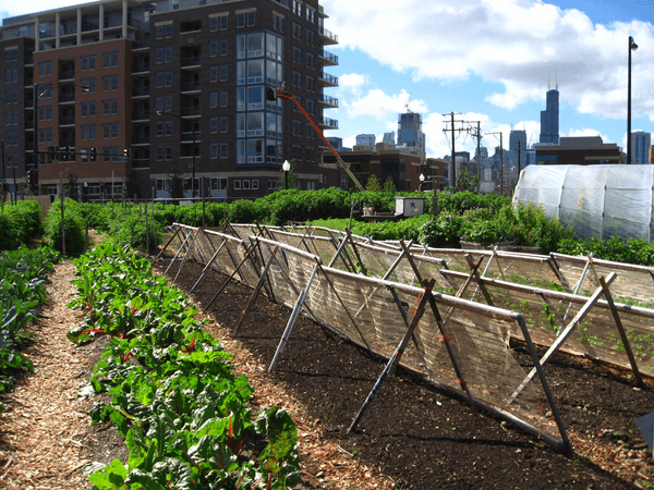 Urban Agriculture Ordinance