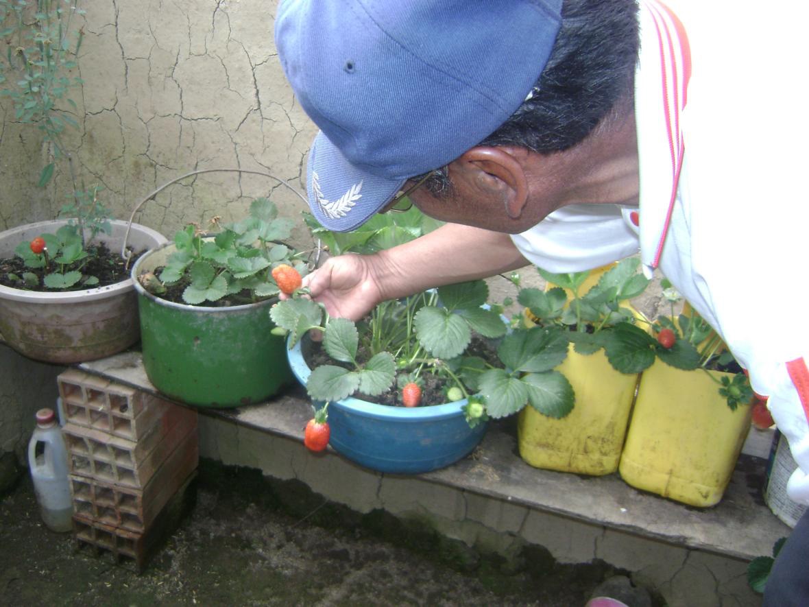 El Alto