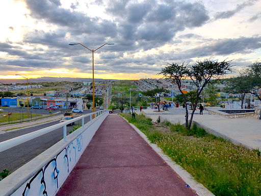 La Línea Verde, Aguascalientes