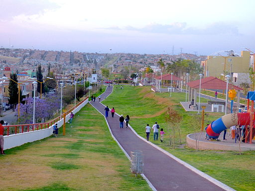 La Línea Verde, Aguascalientes