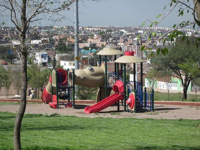 La Línea Verde, Aguascalientes