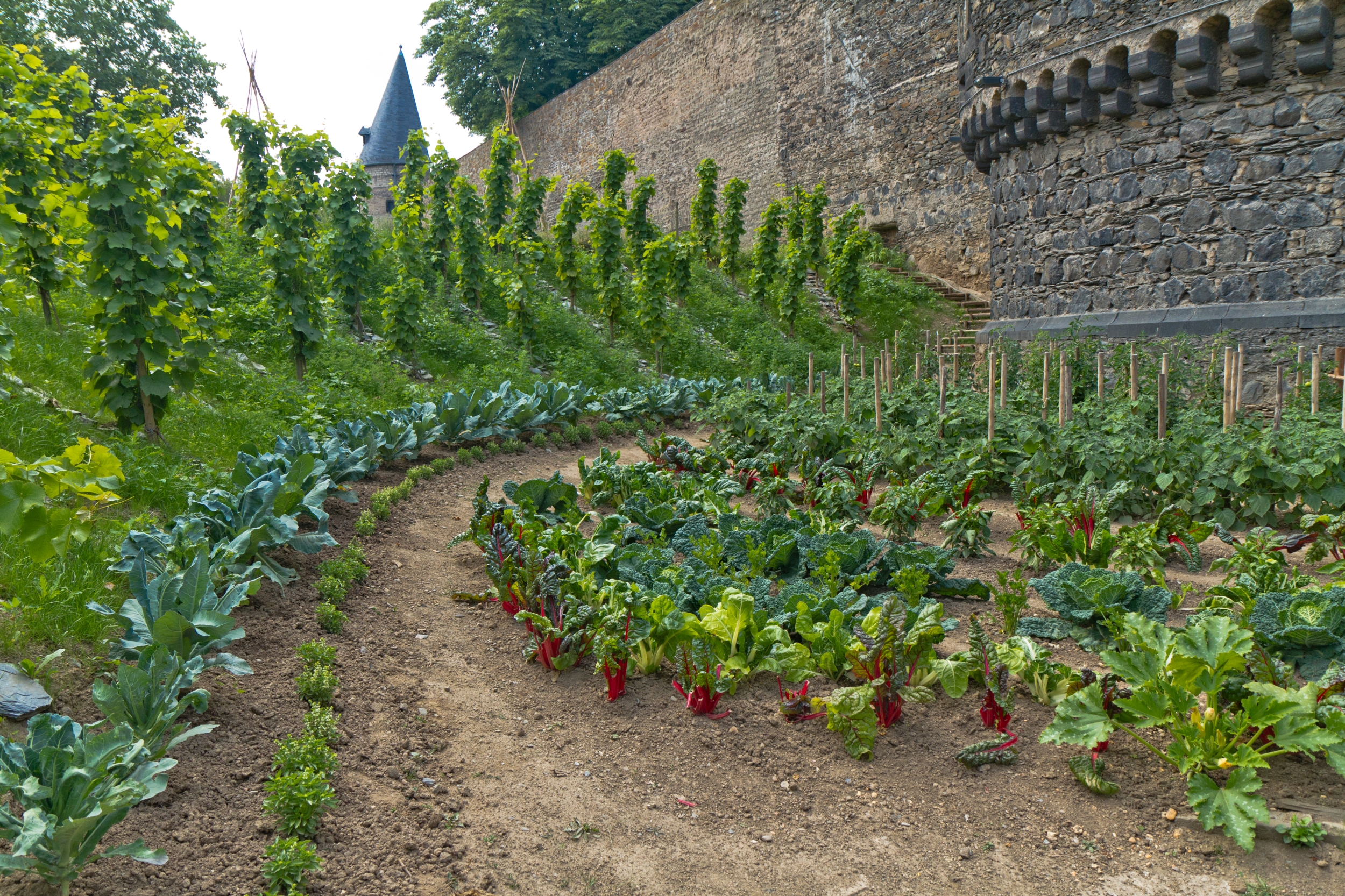 Demonstrating agrobiodiversity