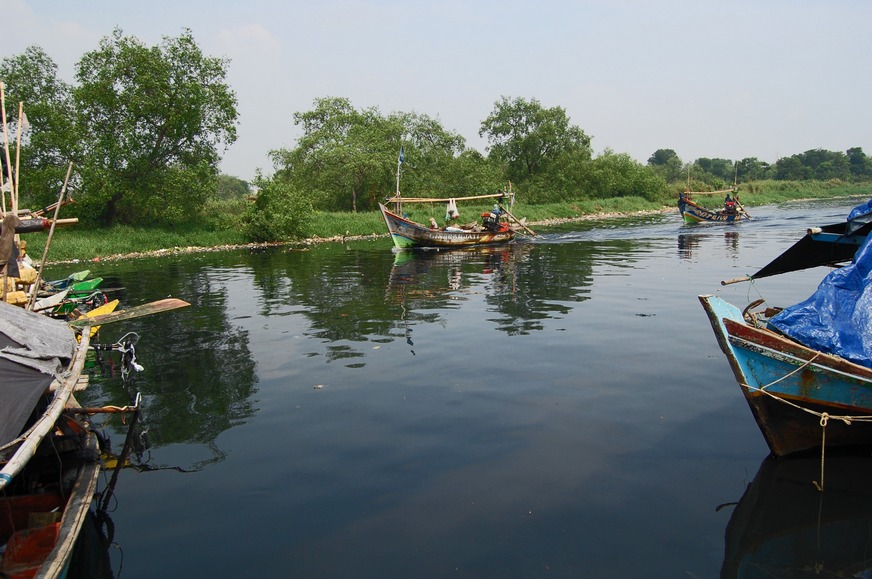 Muara Angke Wildlife Sanctuary contains the original mangrove forest of Jakarta.