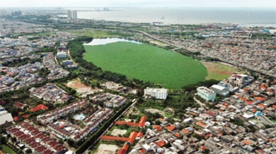 City Park rejuvenating the area through integrated blue and green infrastructure.