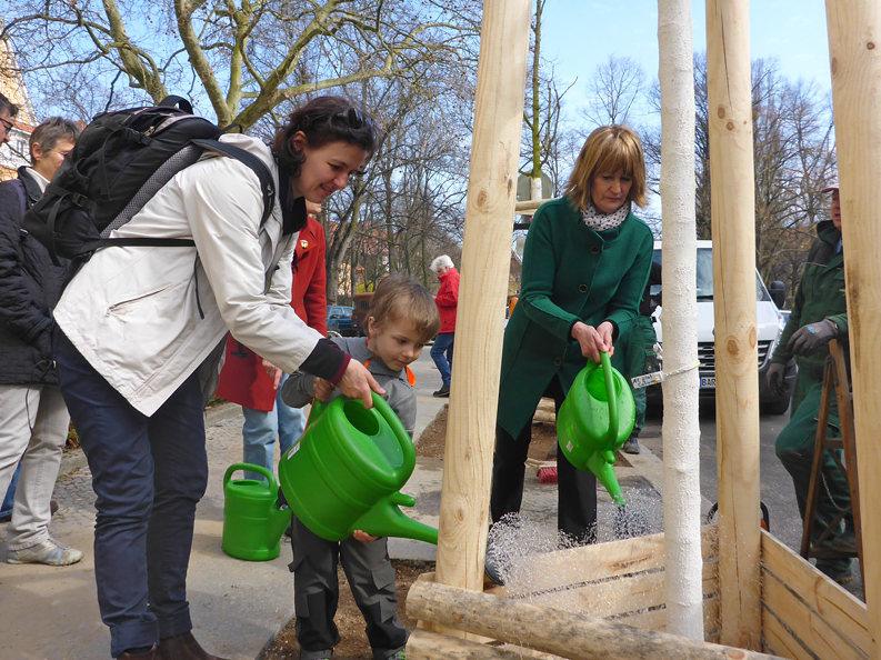 Berlin's City Tree Campaign, Berlin, Germany