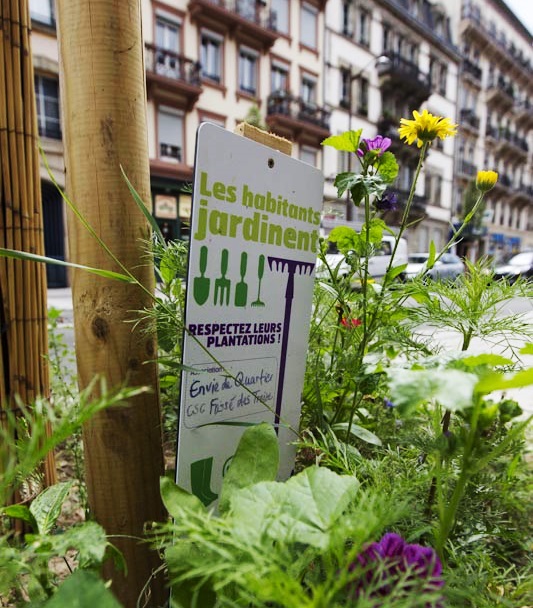 Strasbourg unites for biodiversity, Strasbourg, France