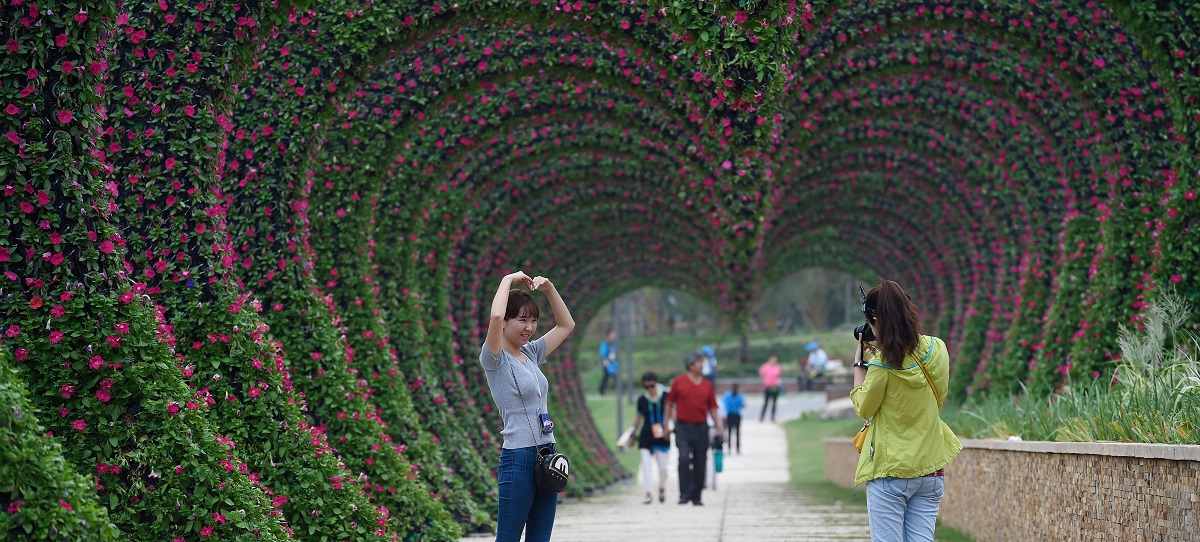 Bridging social gaps with ecological restoration