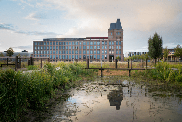 Redeveloping the banks of the Haute Deûle