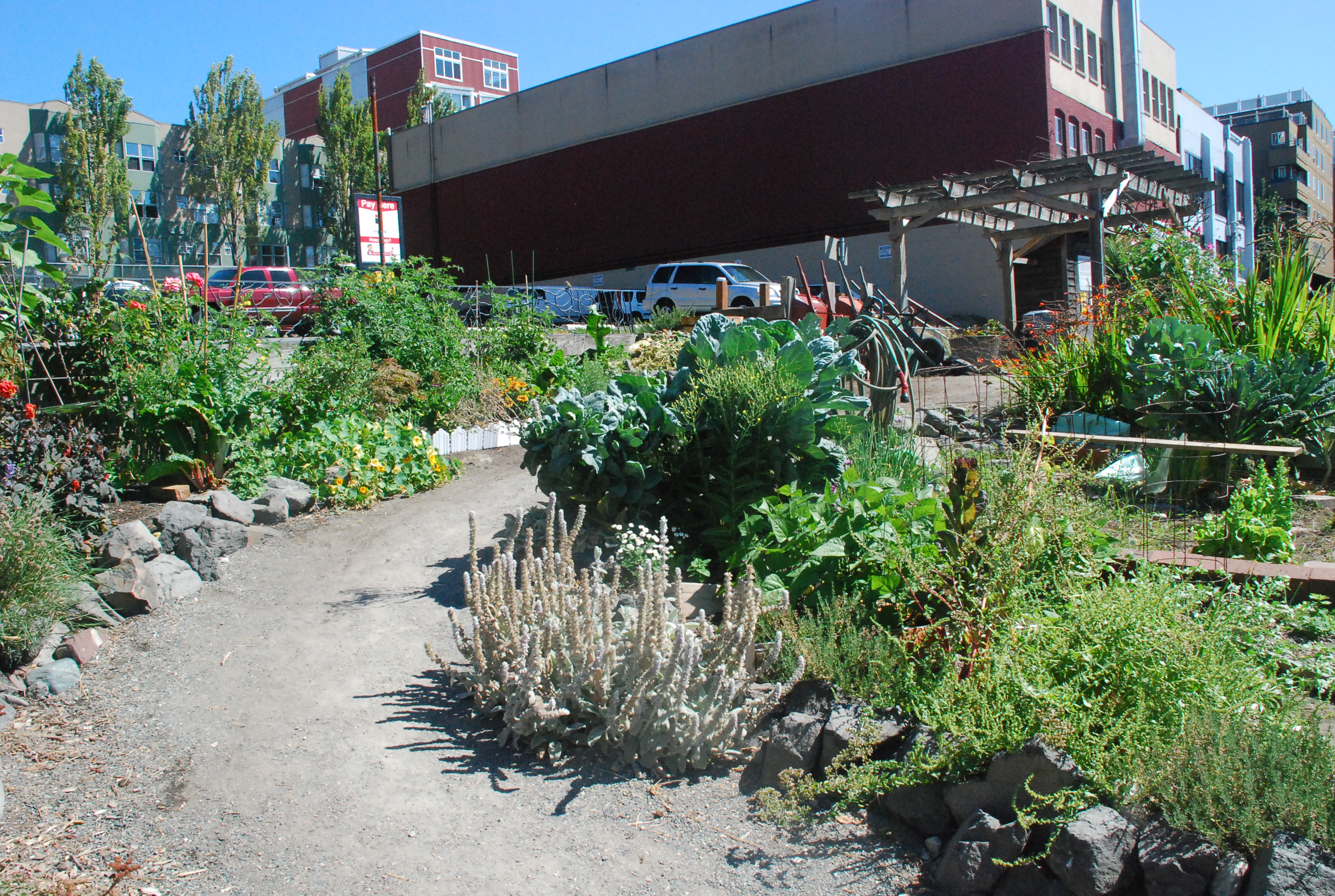 Belltown P-Patch Cottages