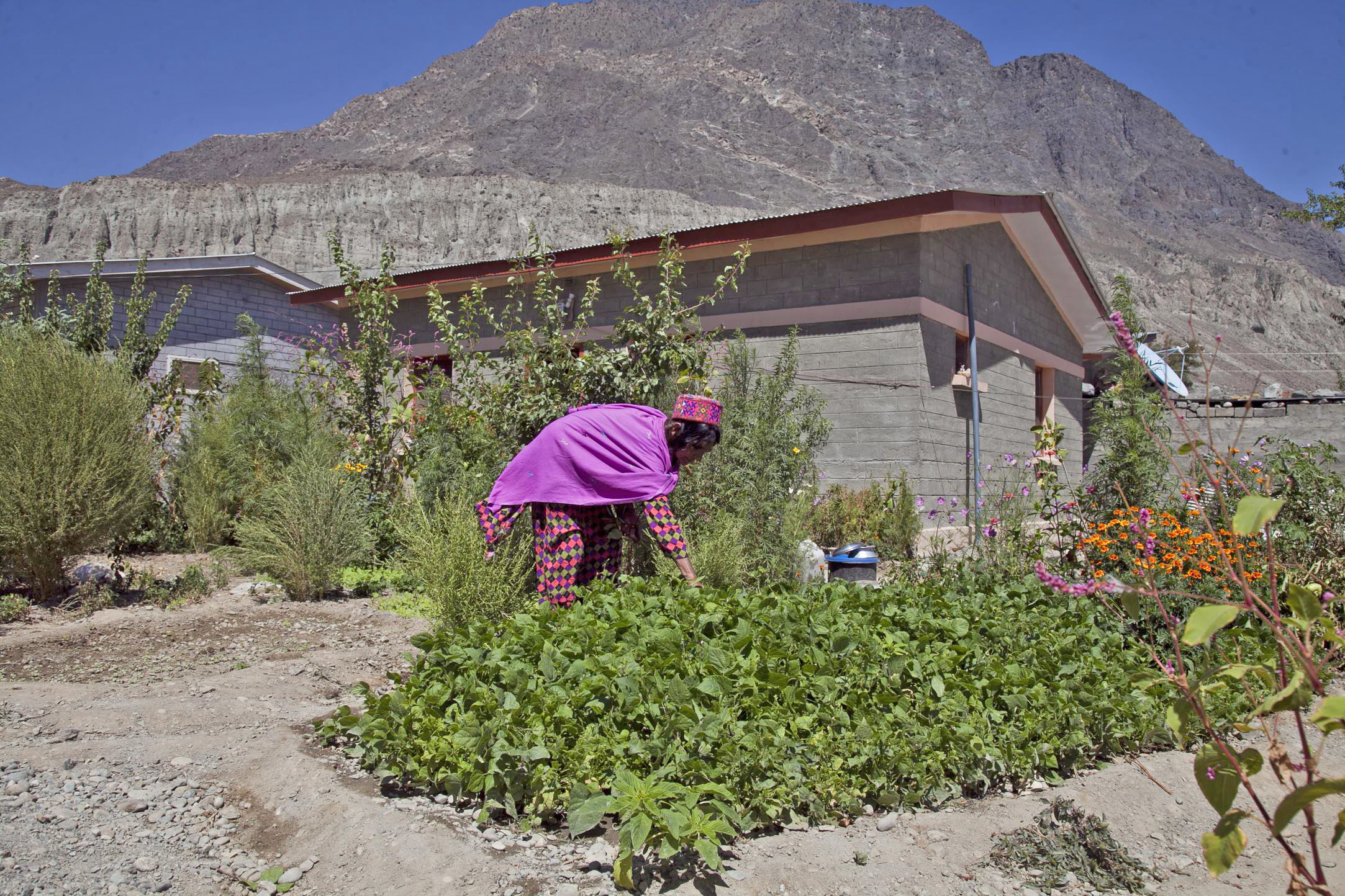 MIRP house- Woman planting