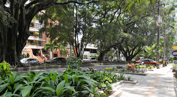 Avenida Jardín