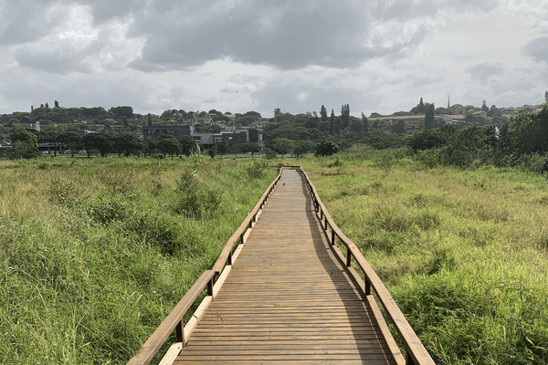 Durban Metropolitan Open Space System