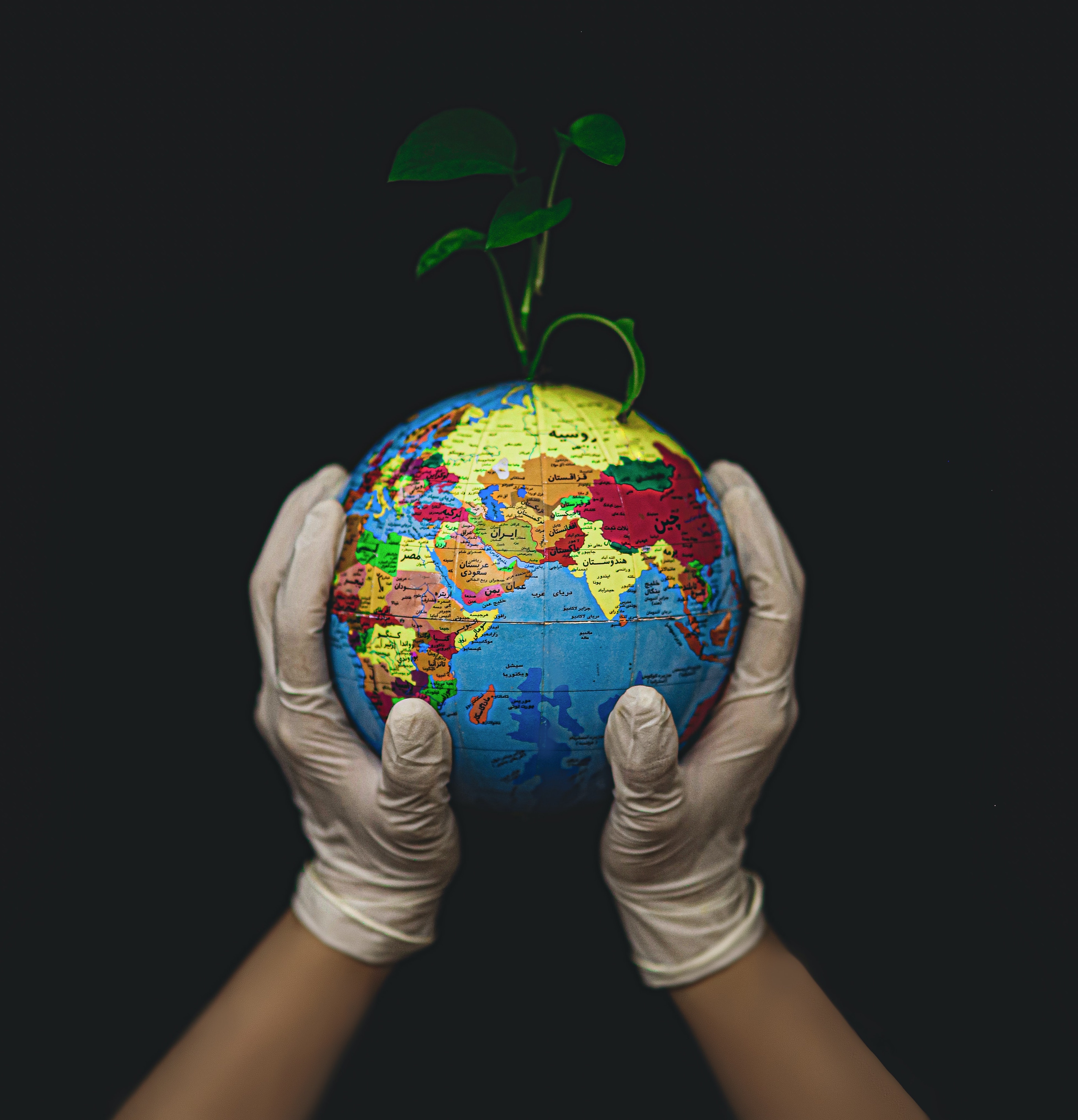 My little planet is safeguarded in your kind hands.