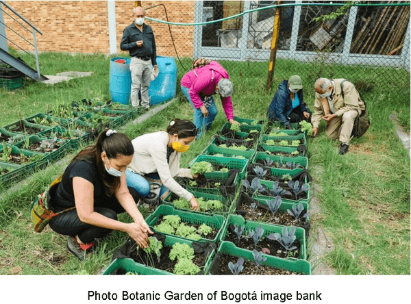 Greening Bogotá