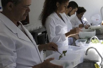 Lab workers at the Biofactory