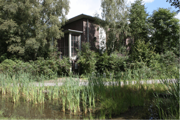 Industrial Forest Project Ruhr Area 
