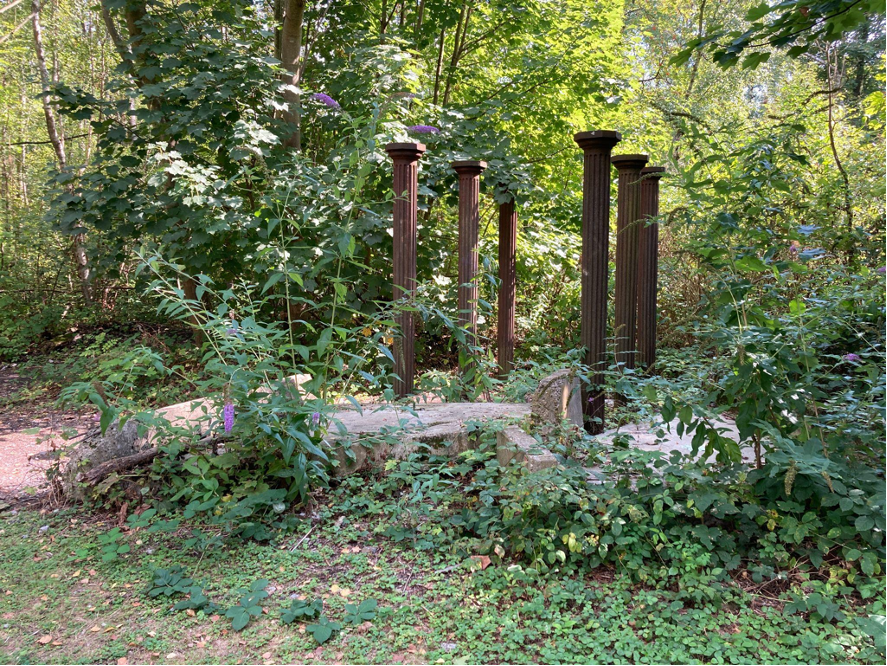 Industrial Forest Project Ruhr area