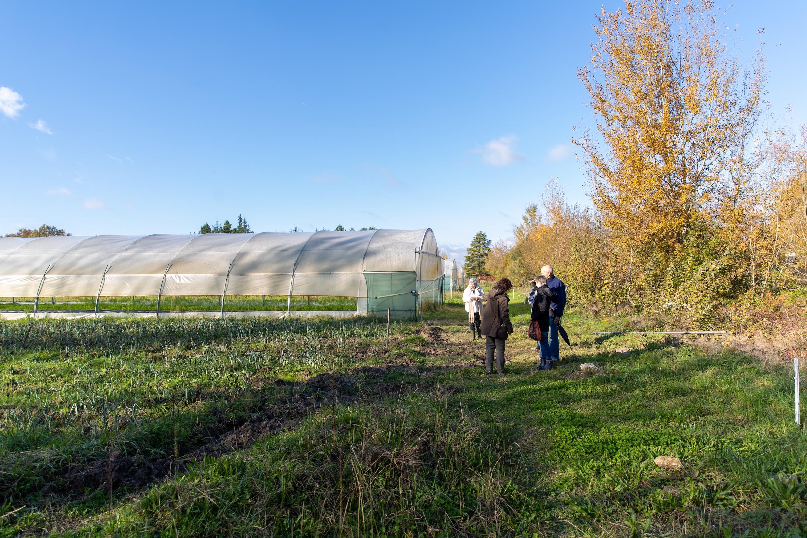 Establishing a Food Policy Council