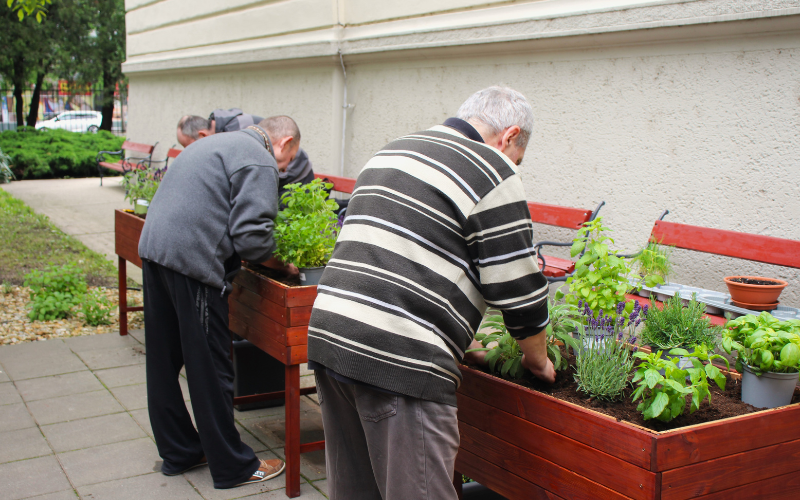 People using the garden