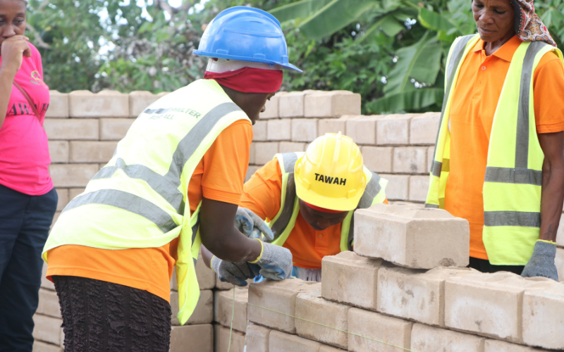Women building a wall