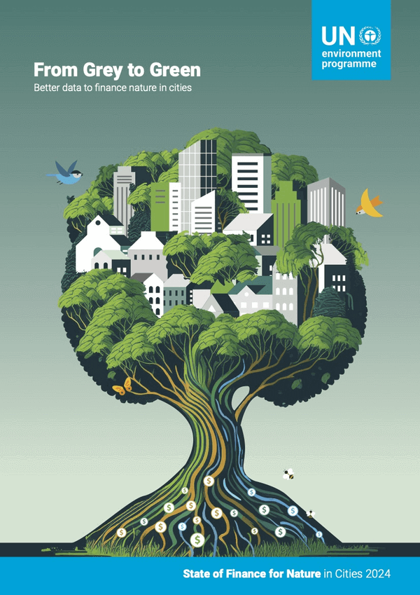 From Grey to Green: Better Data to Finance Nature in Cities