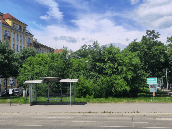Wiener Wäldchen: Mini Forests for Urban Climate Adaptation