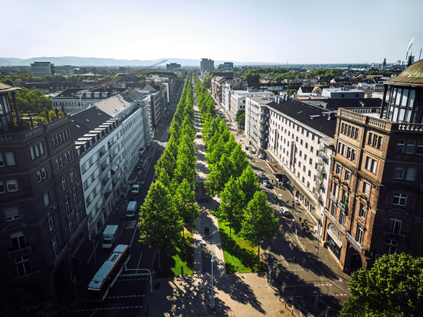 USE puts urban climate adaptation in focus as Europe faces extreme heat