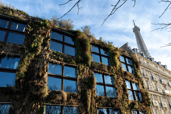Building Nature Into the City: the Award-Winning Approach of Paris to Urban Biodiversity