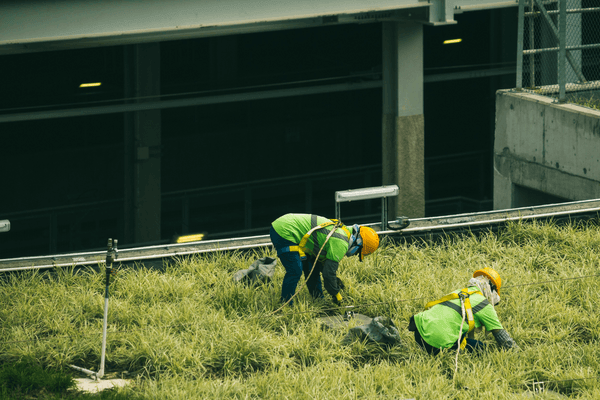 Designing Cooling Programmes to Create Employment in Low-Income Settlements