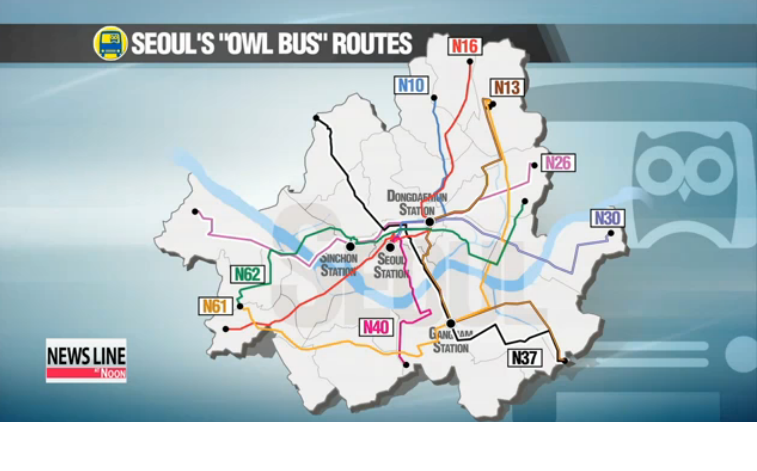 Owl Bus