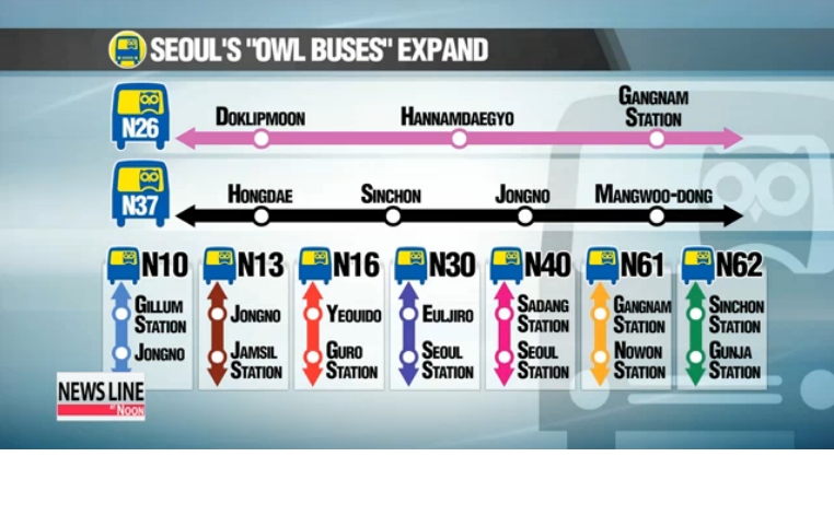 Owl Bus