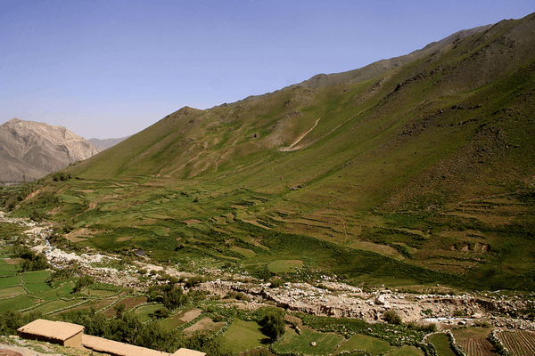 Food Ladder Oasis for Afghan Women